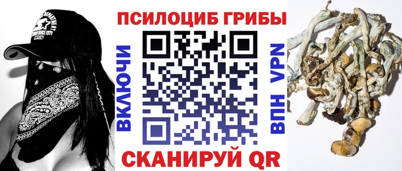 Галлюциногенные грибы MAGIC MUSHROOMS  закладки  Буй 